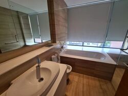 Treasure On Balmoral (D10), Apartment #477260411